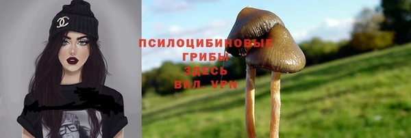 круглые Заводоуковск
