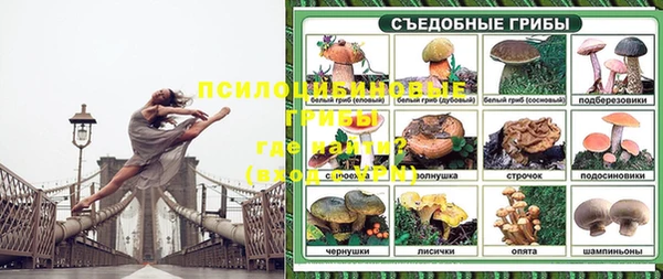бошки Заволжье